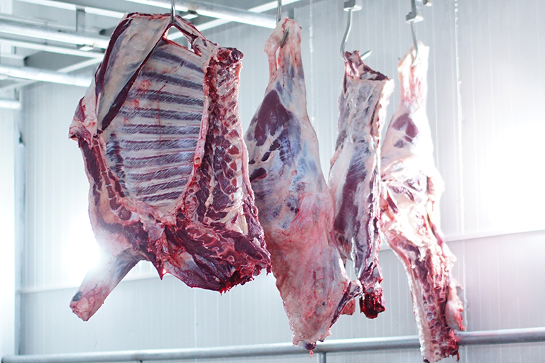 Bursa Kurbanlık Soğuk Hava Deposu